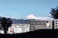 セノバからの富士